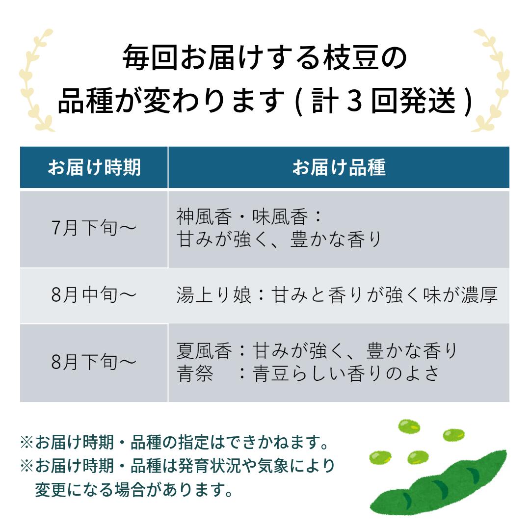 【ふるさと納税】【先行受付】枝豆（1kg）秋田県井川町産　7月から順次発送　おつまみ　【つかまファーム】