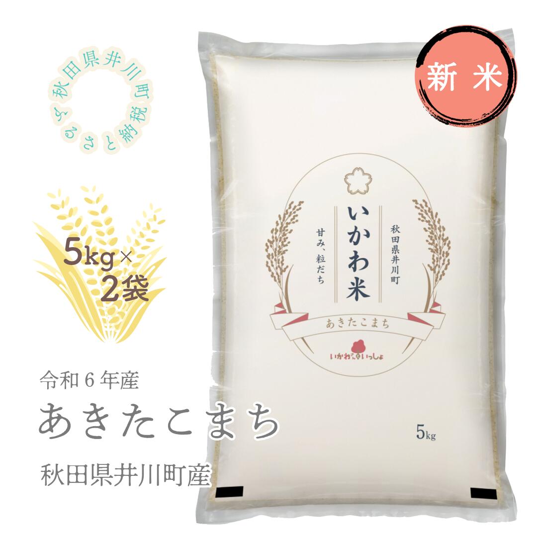 【令和6年産先行受付】秋田県井川町産　あきたこまち 精米5kg×2