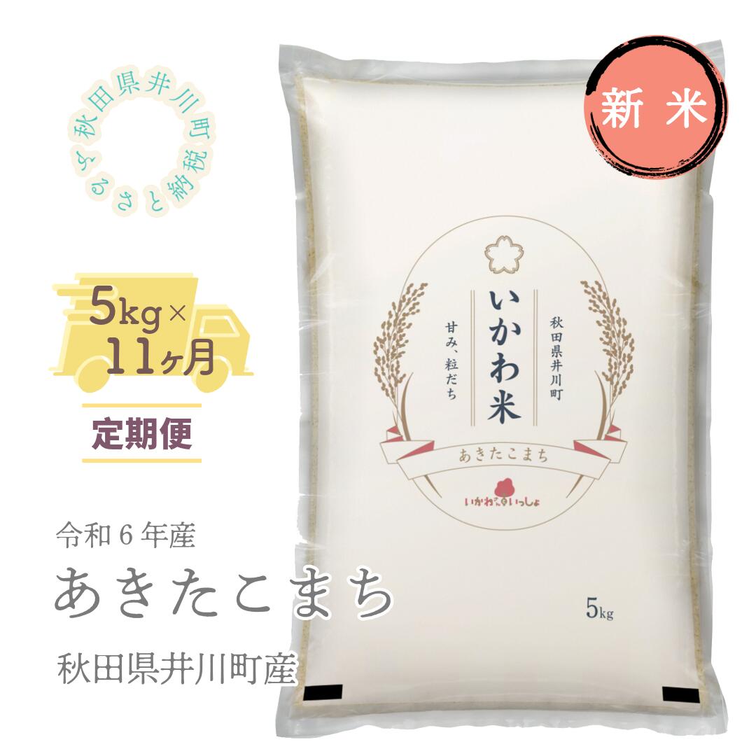 【令和6年産先行受付】定期便　精米5kg×11ヶ月　秋田県井川町産　あきたこまち