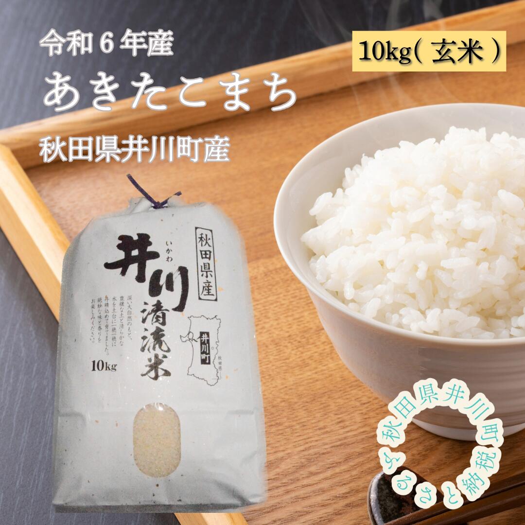 【ふるさと納税】【令和6年産先行受付】秋田県井川町産　あきた