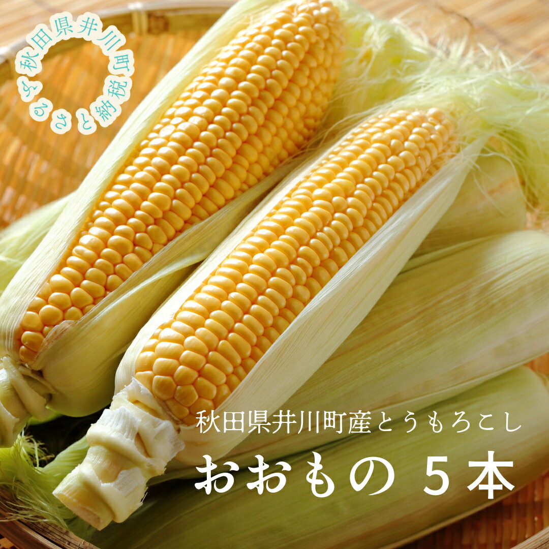 【ふるさと納税】【令和7年分先行受付】とうもろこし(5本)秋田県井川町産 つかまファーム