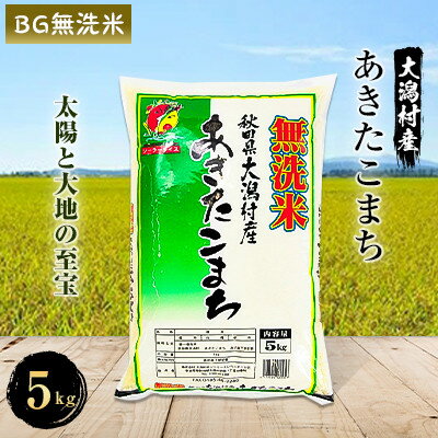 あきたこまち無洗米5kg[配送不可地域:離島・沖縄県]