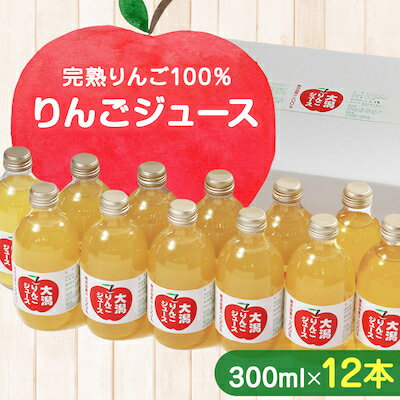 【ふるさと納税】大潟りんごジュース300ml×12本セット 大潟村 山本りんご園【1119600】