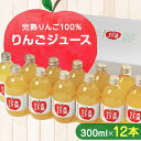 15位! 口コミ数「0件」評価「0」大潟村 山本りんご園のりんごジュース300ml×12本セット【配送不可地域：離島・沖縄県】【1119600】