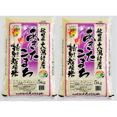 先行受付【令和4年産】大潟村産あきたこまち特別栽培米10kg(5kg×2) 大潟村CE公社 【1230861】