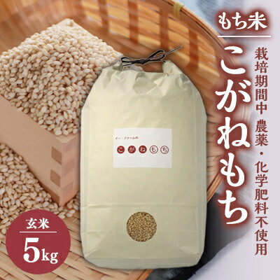 【ふるさと納税】【令和5年産】もち米　玄米5kg (栽培期間中　農薬不使用・化学肥料不使用)【配送不可地域：離島・沖縄県】【1251291】