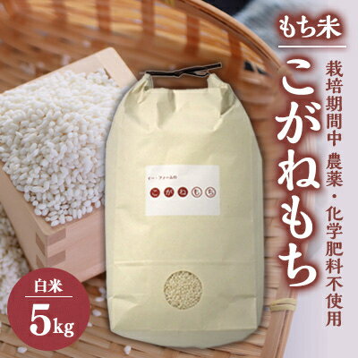 [令和5年産]もち米 白米5kg (栽培期間中 農薬不使用・化学肥料不使用)[配送不可地域:離島・沖縄県]