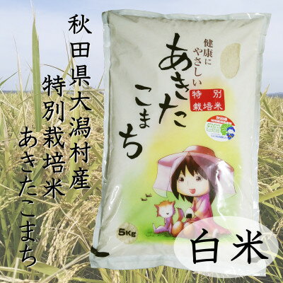 【ふるさと納税】新米 令和7年産 特別栽培米あきたこまち 白米5kg【配送不可地域:離島・沖縄県】【1283151】