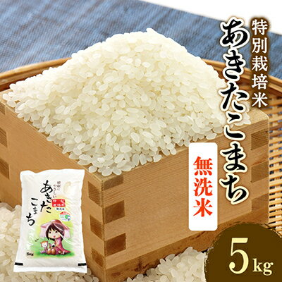 令和5年度産米　特別栽培米あきたこまち　無洗米5kg【配送不可地域：離島・沖縄県】【1283154】