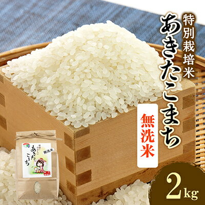 【ふるさと納税】令和5年度産米　特別栽培米あきたこまち　無洗米2kg【配送不可地域：離島・沖縄県】...