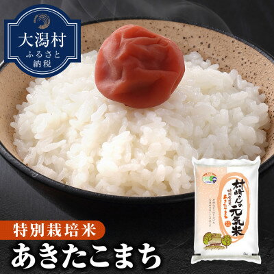 【令和5年産】大潟村産あきたこまち特別栽培米5kg (精米)【配送不可地域：離島・沖縄県】【1353936】