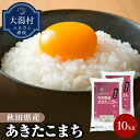 【ふるさと納税】【令和5年産】秋田県産あきたこまち10kg【