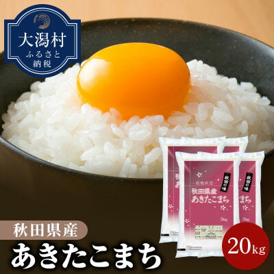 【ふるさと納税】【令和5年産】秋田県産あきたこまち20kg【配送不可地域：離島・沖縄県】【1381407】