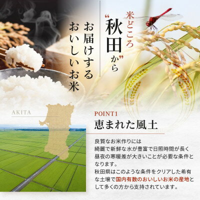 【ふるさと納税】【令和5年産】秋田県産あきたこまち20kg【配送不可地域：離島・沖縄県】【1381407】