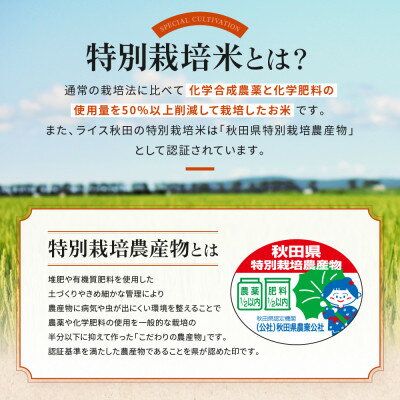 【ふるさと納税】【令和5年産】大潟村産あきたこまち特別栽培米10kg (無洗米)【配送不可地域：離島・沖縄県】【1419732】