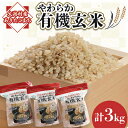 【ふるさと納税】あきたこまち　やわらか有機玄米1kg×3【配