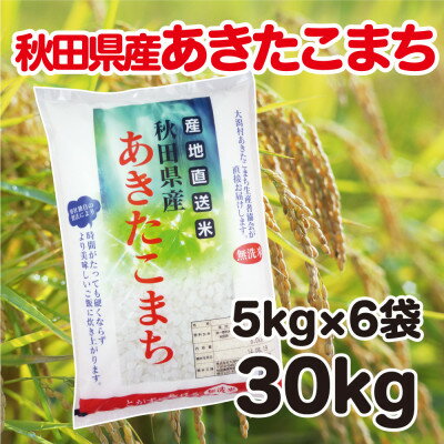 秋田県産あきたこまち　無洗米(業務用)　30kg(5kg×6袋)【配送不可地域：離島・沖縄県】【1325837】