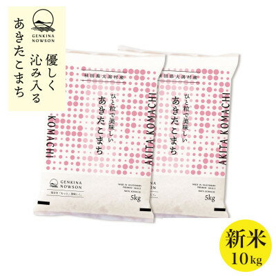 【ふるさと納税】先行予約 秋田県産 あきたこまち 白米10kg 5kg×2 令和7年産 10月中旬発送_ 米 お米 精米 新米 美味しい 人気 おすすめ 送料無...