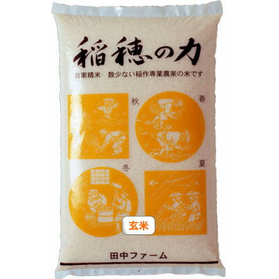 【令和5年産】秋田県産　稲穂の力　特別栽培米あきたこまち 【玄米】5kg×1袋【配送不可地域：離島・沖縄県】【1436968】