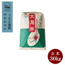 【ふるさと納税】予約受付開始!秋田県産 サキホコレ30kg 1等 玄米【令和7年産】《11月初旬より発送》【配送不可地域:離島・沖縄県】【1463504】