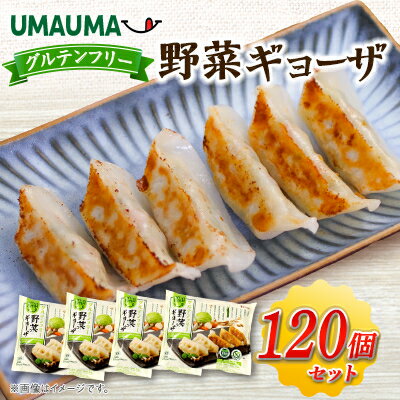 【ふるさと納税】UMAUMAグルテンフリー野菜ギョーザ120個セット_ ぎょうざ 餃子 ギョウザ 野菜ぎょうざ 中華 総菜 飲茶 点心 中華総菜 おかず 簡単調...