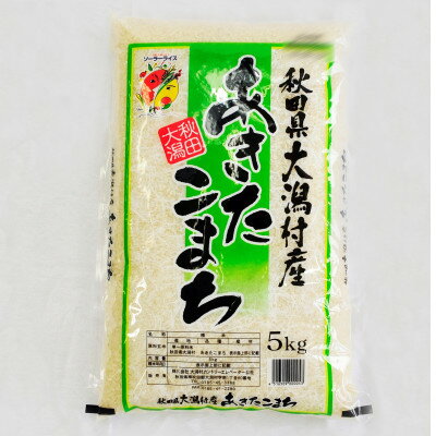 【ふるさと納税】あきたこまち精米5kg【配送不可地域:離島・沖縄県】【1595355】