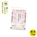 【ふるさと納税】秋田県産 予約受付開始!あきたこまち【令和7年産】白米5kg(5kg×1)《10月中旬より発送》【配送不可地域:離島・沖縄県】【1637009】
