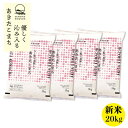 【ふるさと納税】秋田県産 予約受付開始!あきたこまち【令和7年産】白米20kg(5kg×4)《10月中旬より発送》【配送不可地域:離島・沖縄県】【1637020】