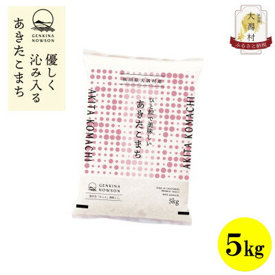 【ふるさと納税】【毎月定期便】秋田県産あきたこまち白米5kg(5kg×1)全12回【配送不可地域:離島・沖縄県】【4072891】