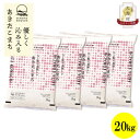 【ふるさと納税】【毎月定期便】秋田県産あきたこまち白米20kg(5kg×4)全12回【配送不可地域:離島・沖縄県】【4072894】