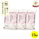 【ふるさと納税】【毎月定期便】秋田県産あきたこまち無洗米15kg(5kg×3)全12回【配送不可地域:離島・沖縄県】【4072899】