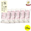 【ふるさと納税】【毎月定期便】秋田県産あきたこまち無洗米25kg(5kg×5)全6回【配送不可地域:離島・沖縄県】【4073085】