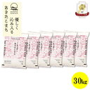 【ふるさと納税】【毎月定期便】秋田県産あきたこまち無洗米30kg(5kg×6)全6回【配送不可地域:離島・沖縄県】【4073094】