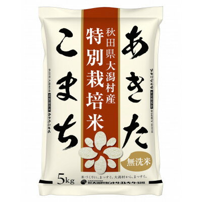 ڤդ뤵Ǽǡۡءۤޤ̺ݡ̵5kg6Բϰ衧Υ硦츩ۡ4075549