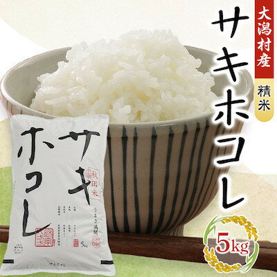 【ふるさと納税】【毎月定期便】サキホコレ精米5kg全9回【配送不可地域:離島・沖縄県】【4075568】