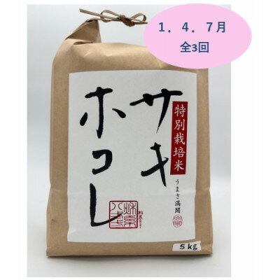 【ふるさと納税】【発送月固定定期便】1月、4月、7月 特別栽培米サキホコレ5kg全3回【配送不可地域:離島・沖縄県】【4075607】
