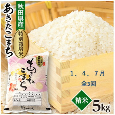 【ふるさと納税】【発送月固定定期便】1月・4月・7月 特別栽培米あきたこまち5kg全3回【配送不可地域:離島・沖縄県】【4075610】