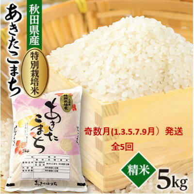 ڤդ뤵Ǽǡۡȯء۴ȯ̺Ƥޤ5kg5Բϰ衧Υ硦츩ۡ4075612