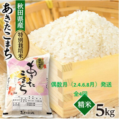 【ふるさと納税】【発送月固定定期便】偶数月発送 特別栽培米あきたこまち5kg全4回【配送不可地域:離島・沖縄県】【4075613】