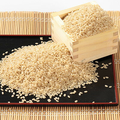 秋田県大潟村の画像2