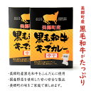 【ふるさと納税】令和5年産 美郷町のお米 秋田県産 特別栽培米 あきたこまち・ゆめおばこ食べ比べセット 牛肉カレー付き 3