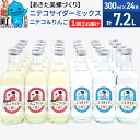 【ふるさと納税】ニテコサイダーミックス 300ml×24本セット 2種(ニテコサイダー12本、りんごサイダー12本)あきた美郷づくり