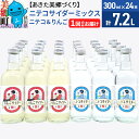 【ふるさと納税】ニテコサイダーミックス 300ml×24本セット 2種（ニテコサイダー12本、りんごサイダー12本）あきた美郷づくり