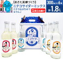 【ふるさと納税】ニテコサイダーミックス 300ml×6本セット 3種(ニテコサイダー2本、りんごサイダー2本、はちみつサイダー2本)あきた美郷づくり