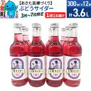 28位! 口コミ数「0件」評価「0」《期間限定》ニテコぶどうサイダー12本セット 巨峰使用 あきた美郷づくり