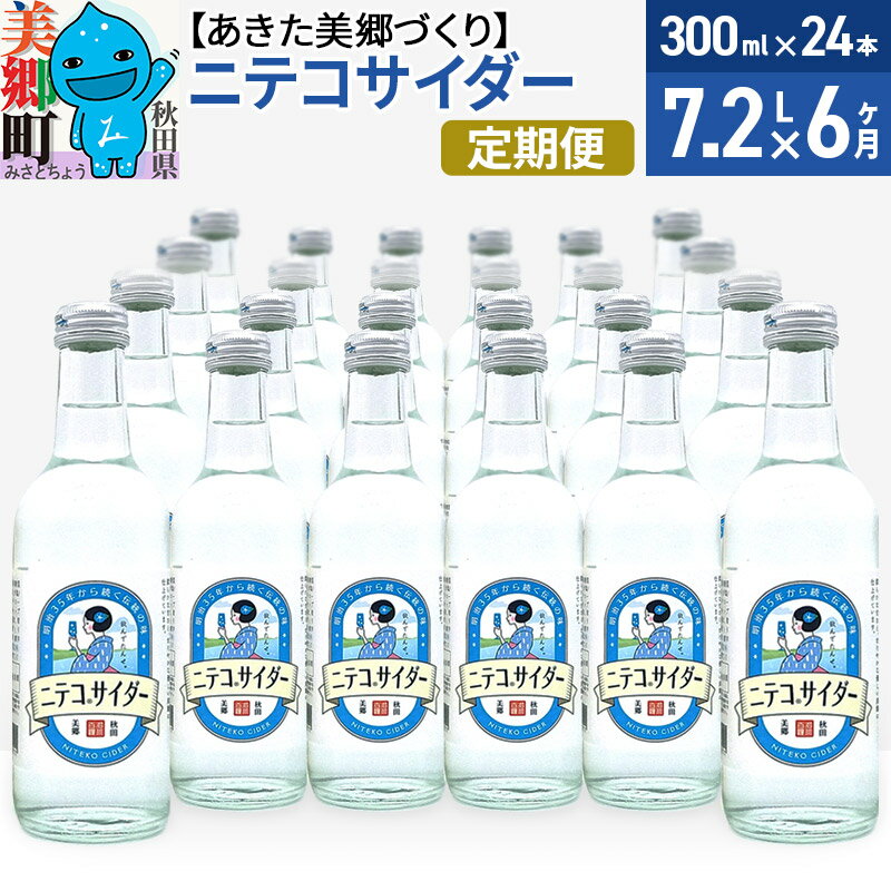 【ふるさと納税】《定期便6ヶ月》ニテコサイダー 300ml×24本入 「水の郷」のサイダー ご当地サイダー