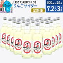 15位! 口コミ数「0件」評価「0」《定期便3ヶ月》ニテコりんごサイダー 300ml×24本セット あきた美郷づくり