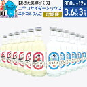 【ふるさと納税】《定期便3ヶ月》ニテコサイダーミックス 300ml×12本セット 2種（ニテコサイダー6本、りんごサイダー6本）あきた美郷づくり