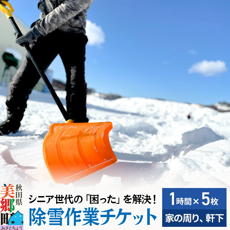 シニア世代の「困った」を解決!除雪サービス利用チケット1時間×5枚[家の周りや軒下の除雪作業に利用可能]