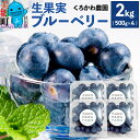 【ふるさと納税】くろかわ農園 ブルーベリー 2kg(500g×4パック)